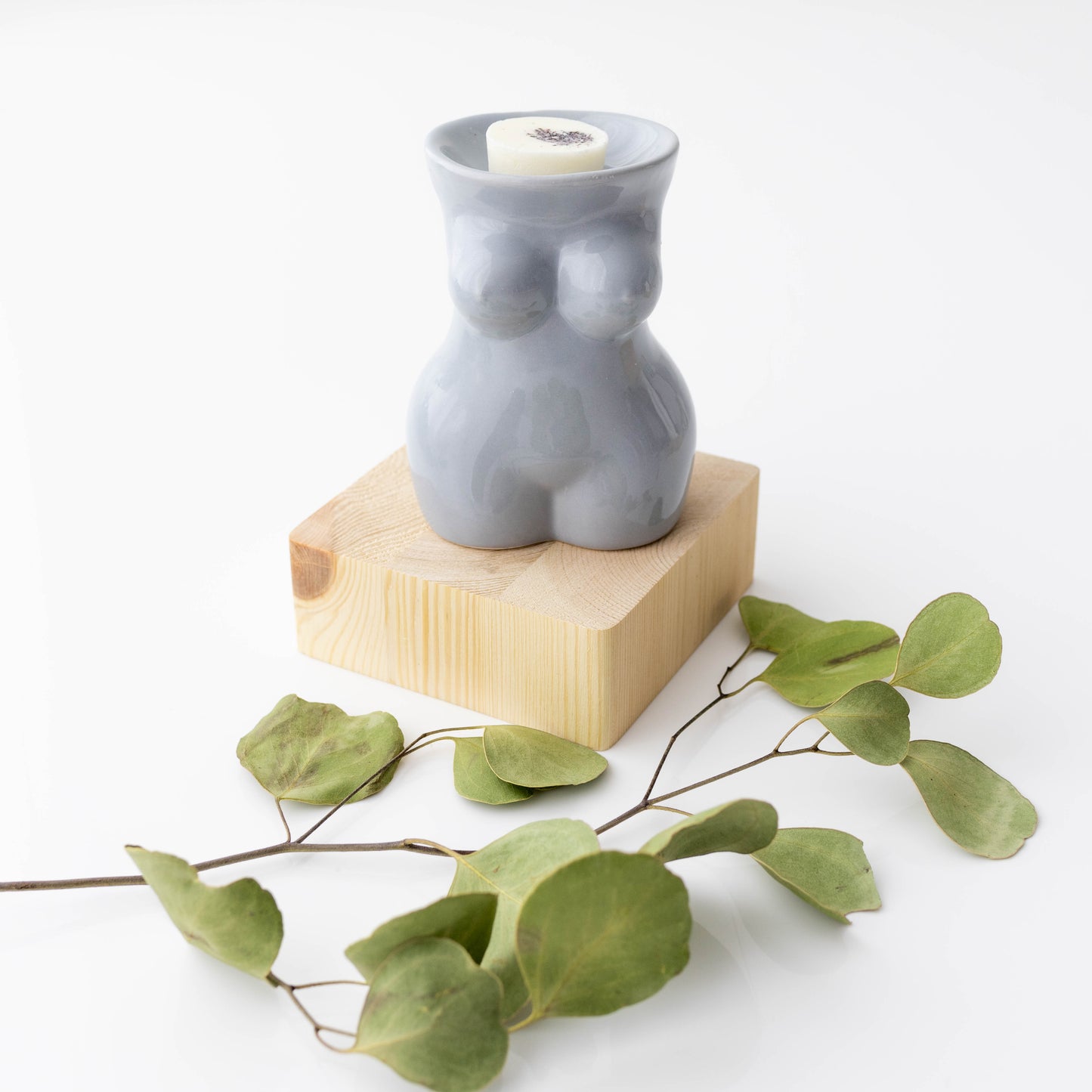Wax Melt Burner & Wax Melt Pack Gift Set.