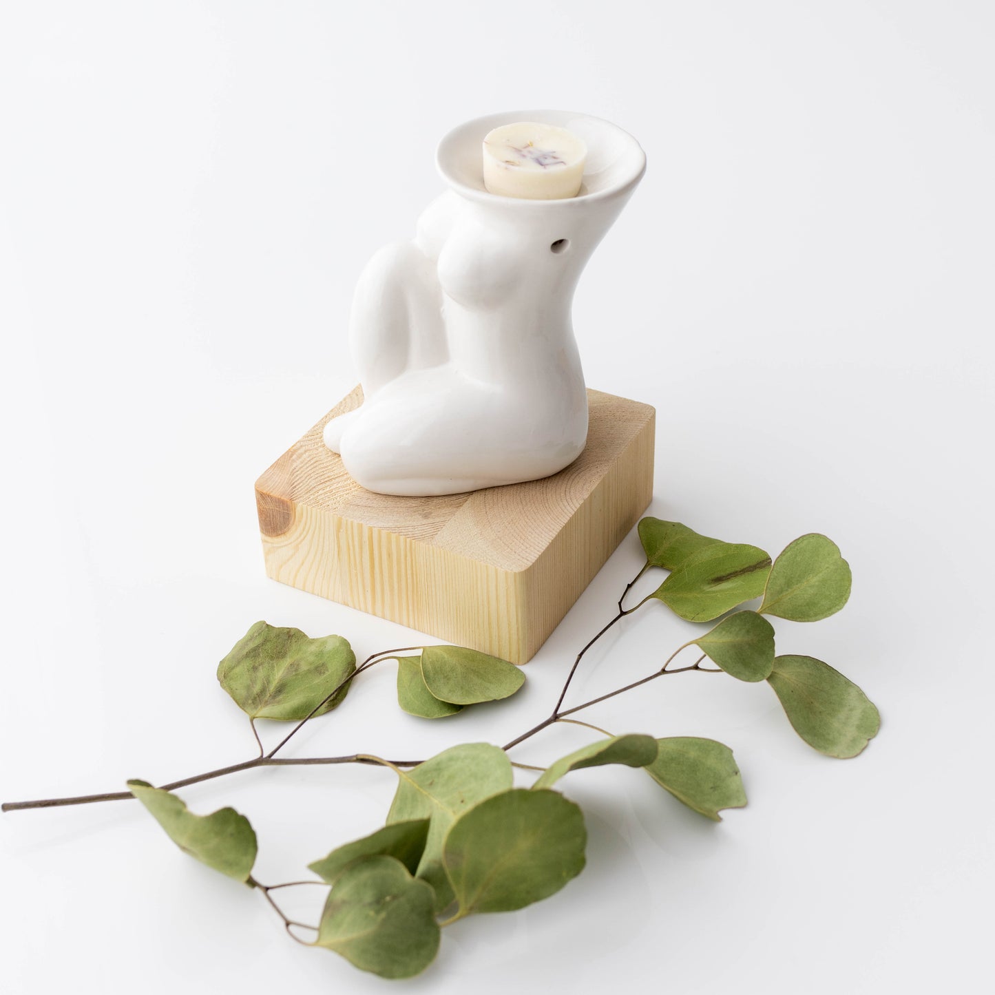Wax Melt Burner & Wax Melt Pack Gift Set.