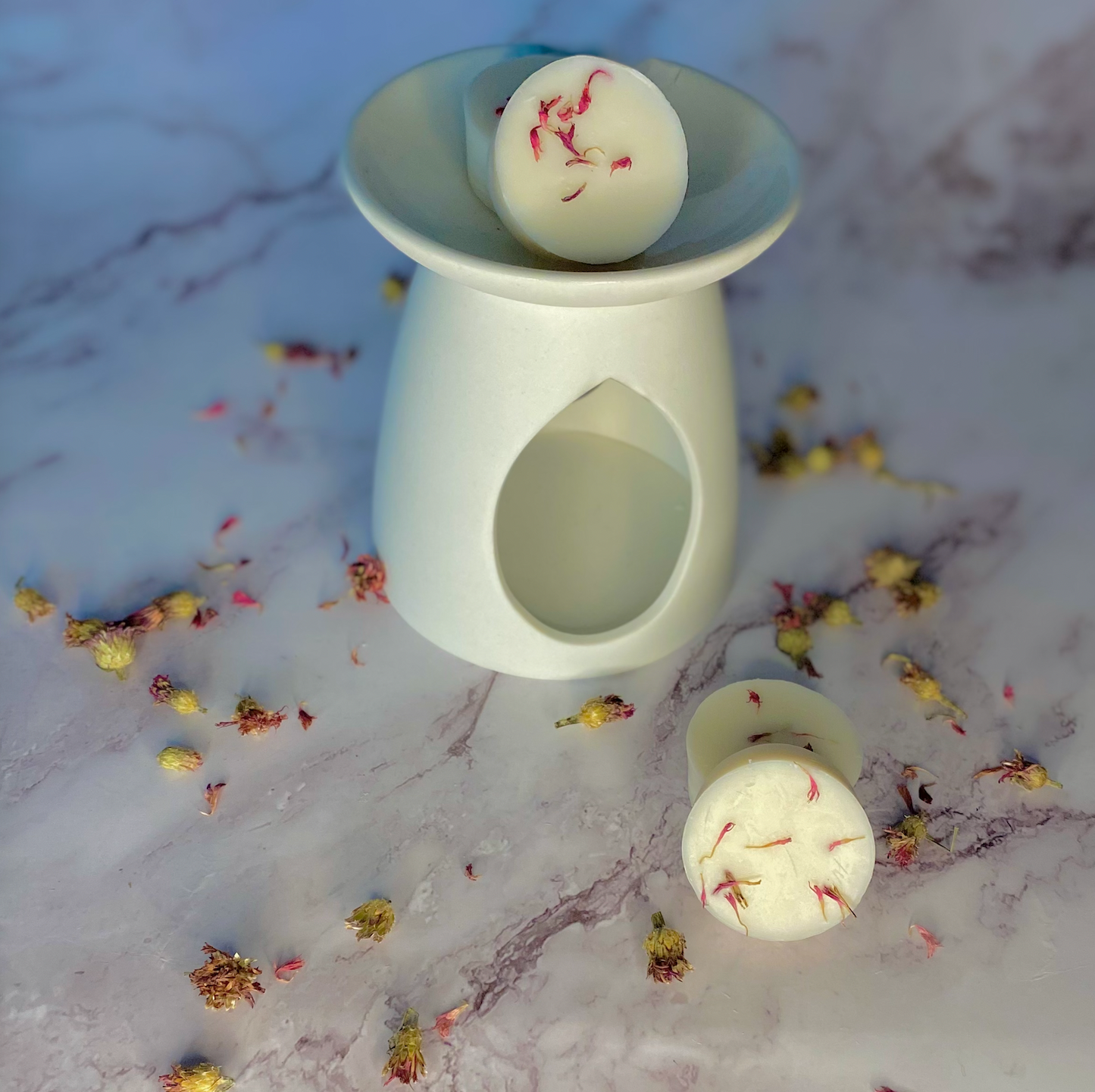 Wax Melt Burner & Wax Melt Pack Gift Set.