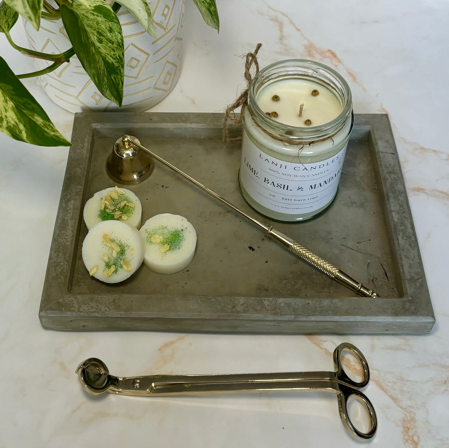 Lime, Basil & Mandarin | Spring 2024 fragrance