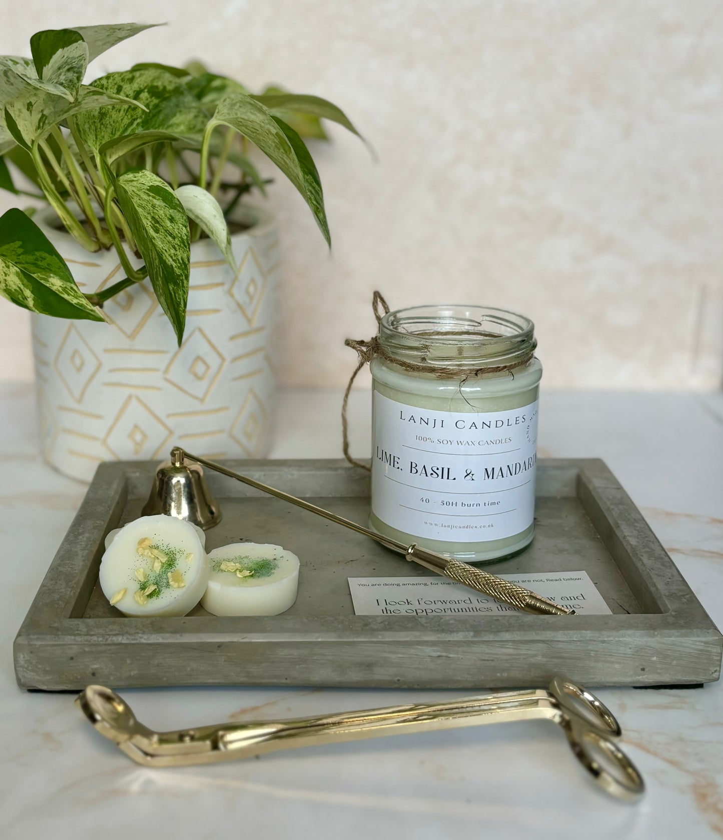 Lime, Basil & Mandarin | Spring 2024 fragrance