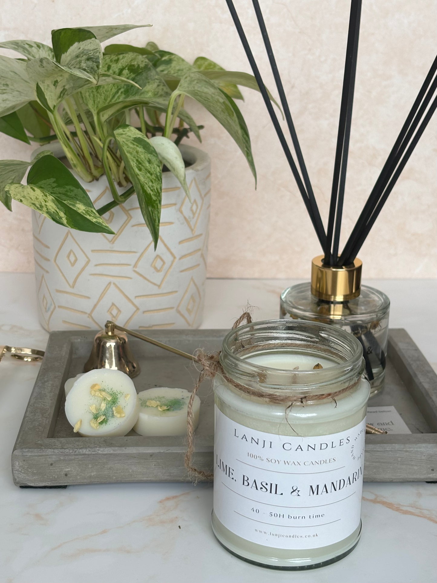 Lime, Basil & Mandarin | Spring 2024 fragrance