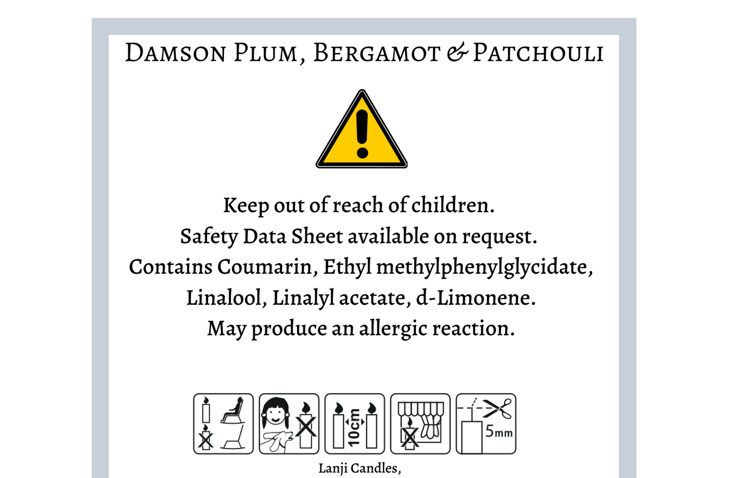Damson Plum, Bergamot & Patchouli Scented Soy Wax Candle