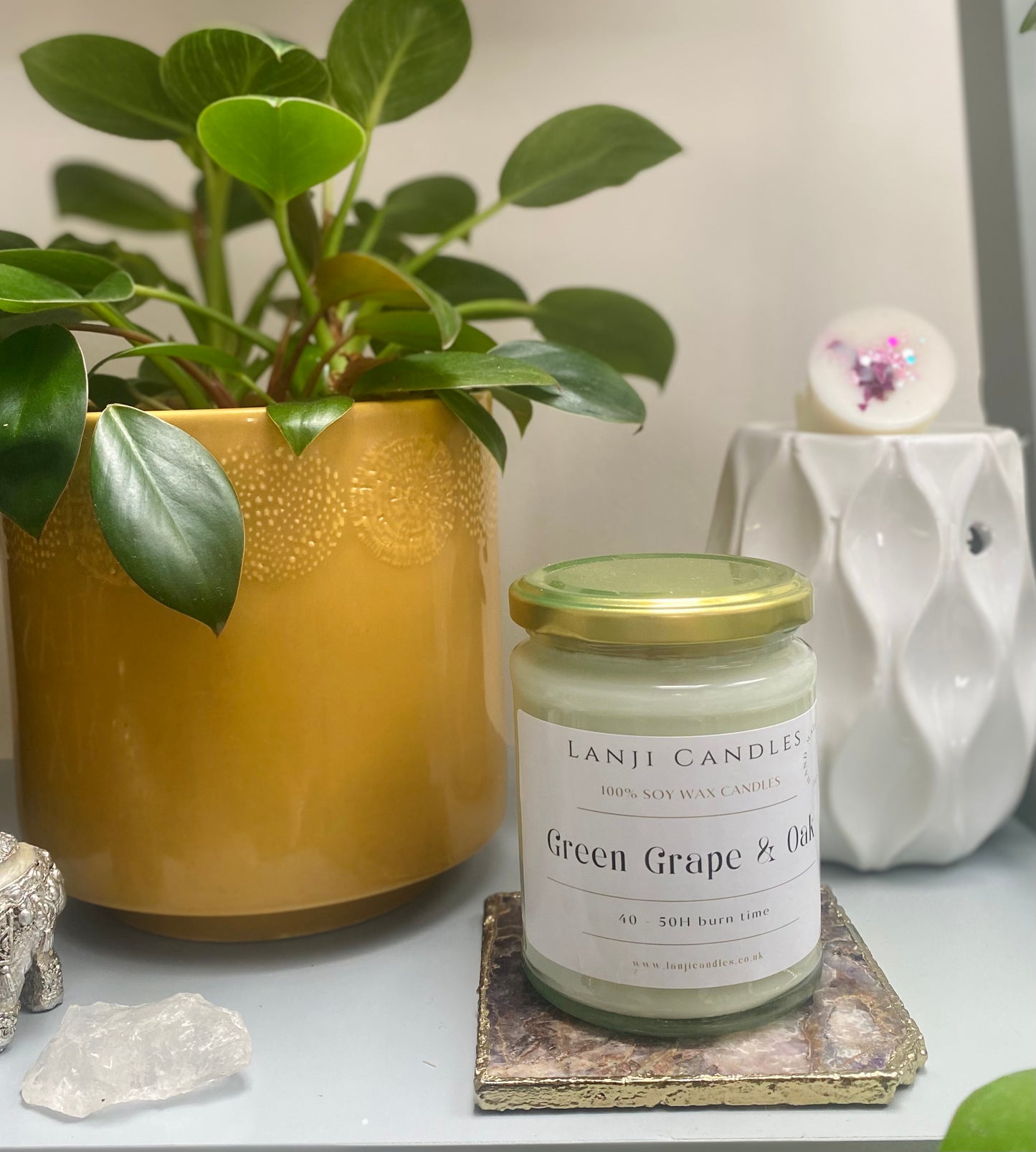 Green Grape & Oak Scented Candle | Seasonal Collection
