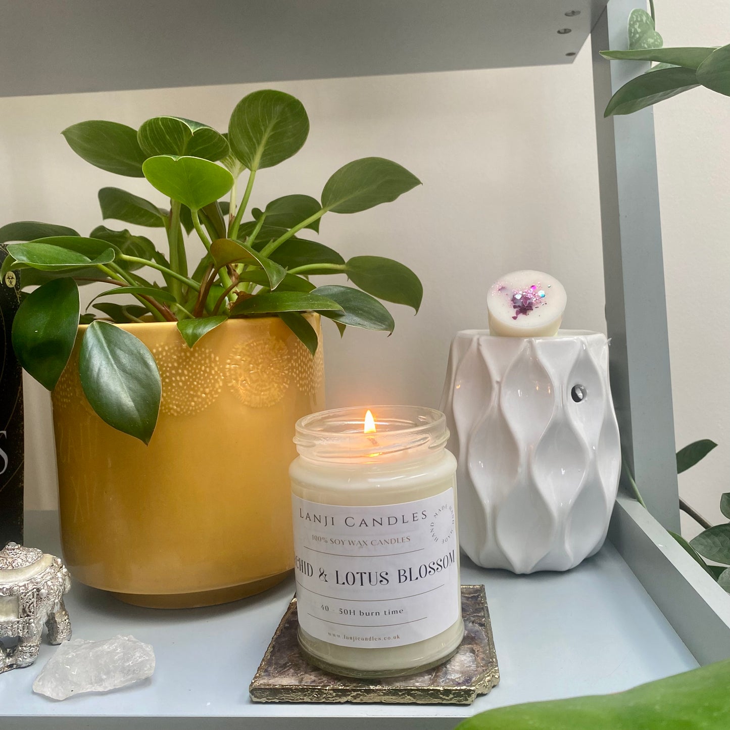 Orchid & Lotus Blossom scented candle | Seasonal Collection